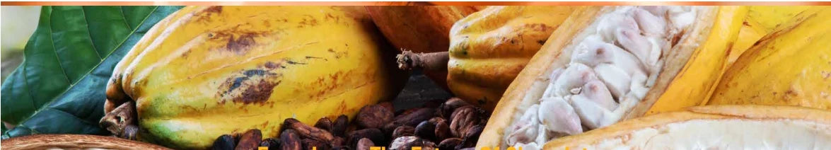 Experience The Future Of Chocolate